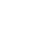 audec 11 9